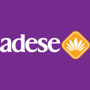 ADESE GAYRİMENKUL YATIRIM A.Ş. logo