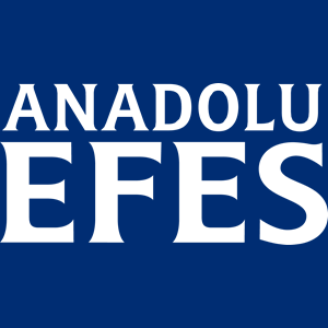 ANADOLU EFES BİRACILIK VE MALT SANAYİİ A.Ş. logo