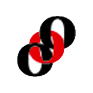 BİRİKİM VARLIK YÖNETİM A.Ş. logo