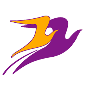 FLAP KONGRE TOPLANTI HİZMETLERİ OTOMOTİV VE TURİZM A.Ş. logo