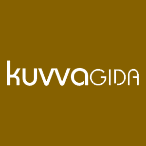 KUVVA GIDA TİCARET VE SANAYİ YATIRIMLARI A.Ş. logo