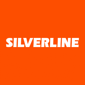 SİLVERLİNE ENDÜSTRİ VE TİCARET A.Ş. logo