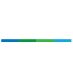 American BriVision (Holding) Corporation logo