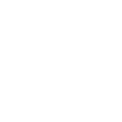 Arch Capital Group Ltd logo