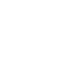 American Eagle Outfitters Inc logo