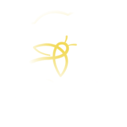 Firefly Neuroscience Inc. logo