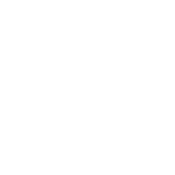 Alps Group Inc. logo