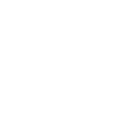 Arista Networks Inc logo