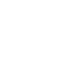 Appian Corp logo