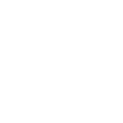 American Realty Investors Inc logo