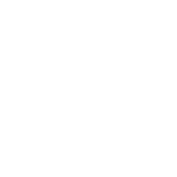 ASML Holding NV logo