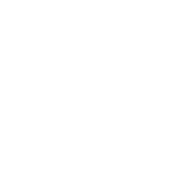 Aspire Real Estate Investors Inc logo
