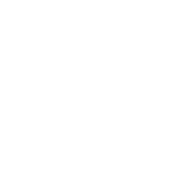 Atlas Lithium Corporation logo