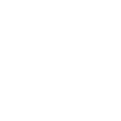 Armstrong World Industries Inc. logo