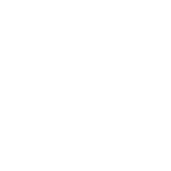 Boeing Co-The logo
