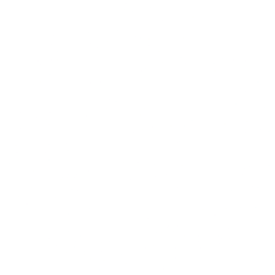 Baird Medical Investment Holdings Ltd. logo
