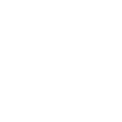 Biodexa Pharmaceuticals plc ADR logo