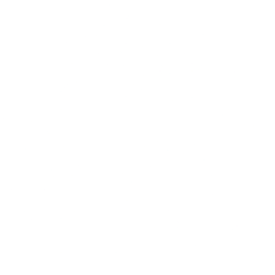Birkenstock Holding plc Ordinary Shares logo