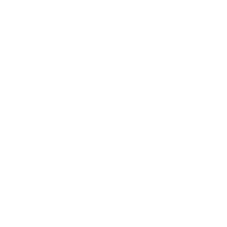 Bakkt Holdings, Inc. Class A Common Stock logo