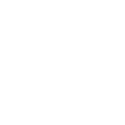 Blink Charging Co. logo