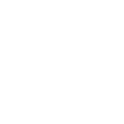BioRestorative Therapies Inc. logo
