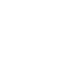 Bioventus Inc. Class A Common Stock logo