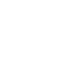 Babcock & Wilcox Enterprises, Inc. logo