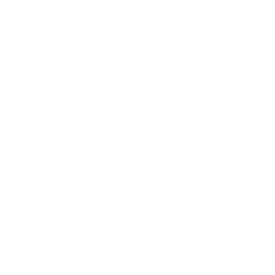 Broadwind Energy Inc logo