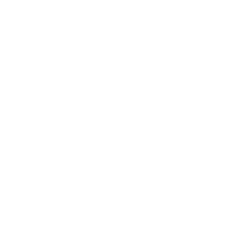 BlueLinx Holdings Inc logo