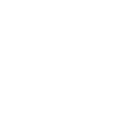 Cheesecake Factory Inc-The logo
