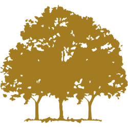 Canopy Growth Corp logo