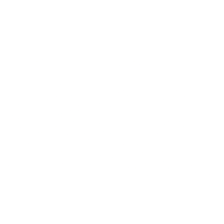 Chimera Investment Corp. logo