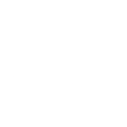 CNS Pharmaceuticals Inc. logo