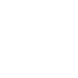 CoStar Group, Inc. logo