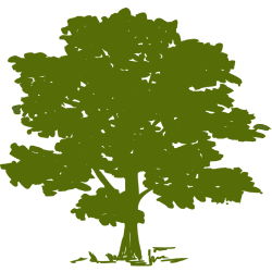 Community Health Systems, Inc. logo