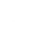 Digital Brands Group, Inc. Common Stock logo