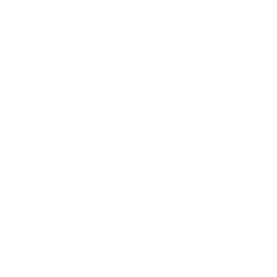 dLocal Limited logo