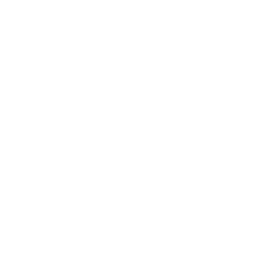 Draganfly Inc. Common Stock logo