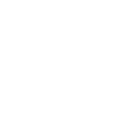 The Estée Lauder Companies Inc. Class A Common Stock logo