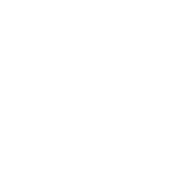 Diamondback Energy Inc. logo