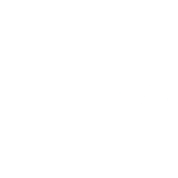 Fastenal Co. logo