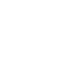 Fold Holdings, Inc. Class A Common Stock logo