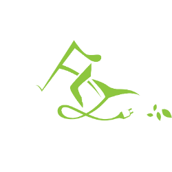 Fly-E Group, Inc. logo