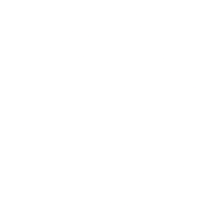 FormFactor Inc. logo