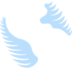 Flexible Solutions International Inc. logo