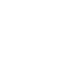 New Horizon Aircraft Ltd. logo