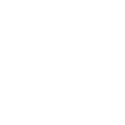 Hub Cyber Security Ltd. logo