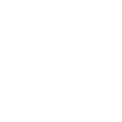 Innodata Inc. logo