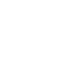 iPower Inc. logo