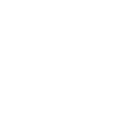 JetBlue Airways Corporation logo